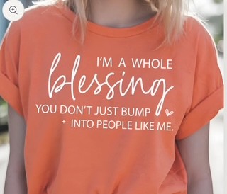 I'm a Whole Blessing You Don't Just Bump Into People Like Me