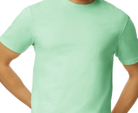 Mint Green Gildan Softstyle Short Sleeve Tee