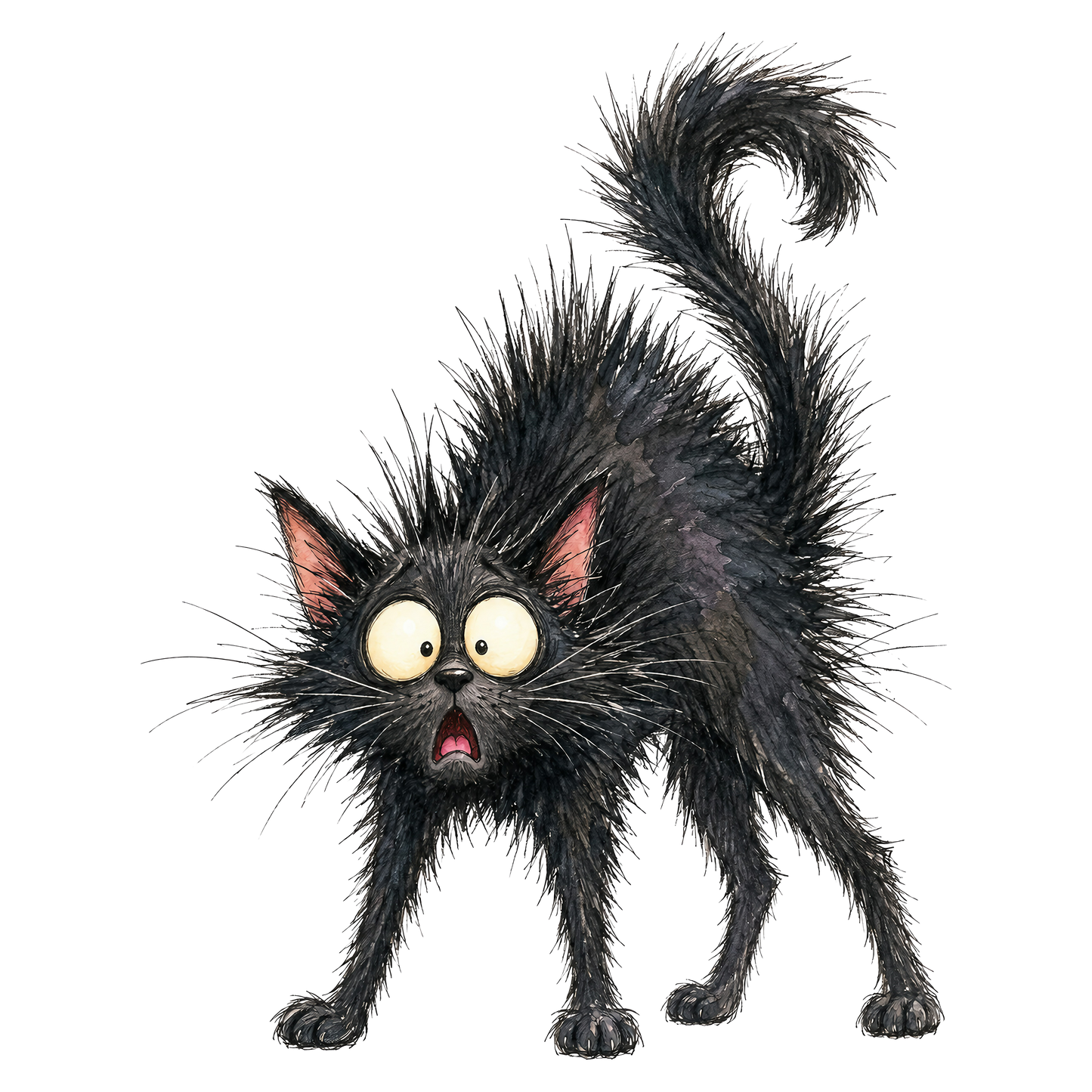 Hunched Fraidy Cat