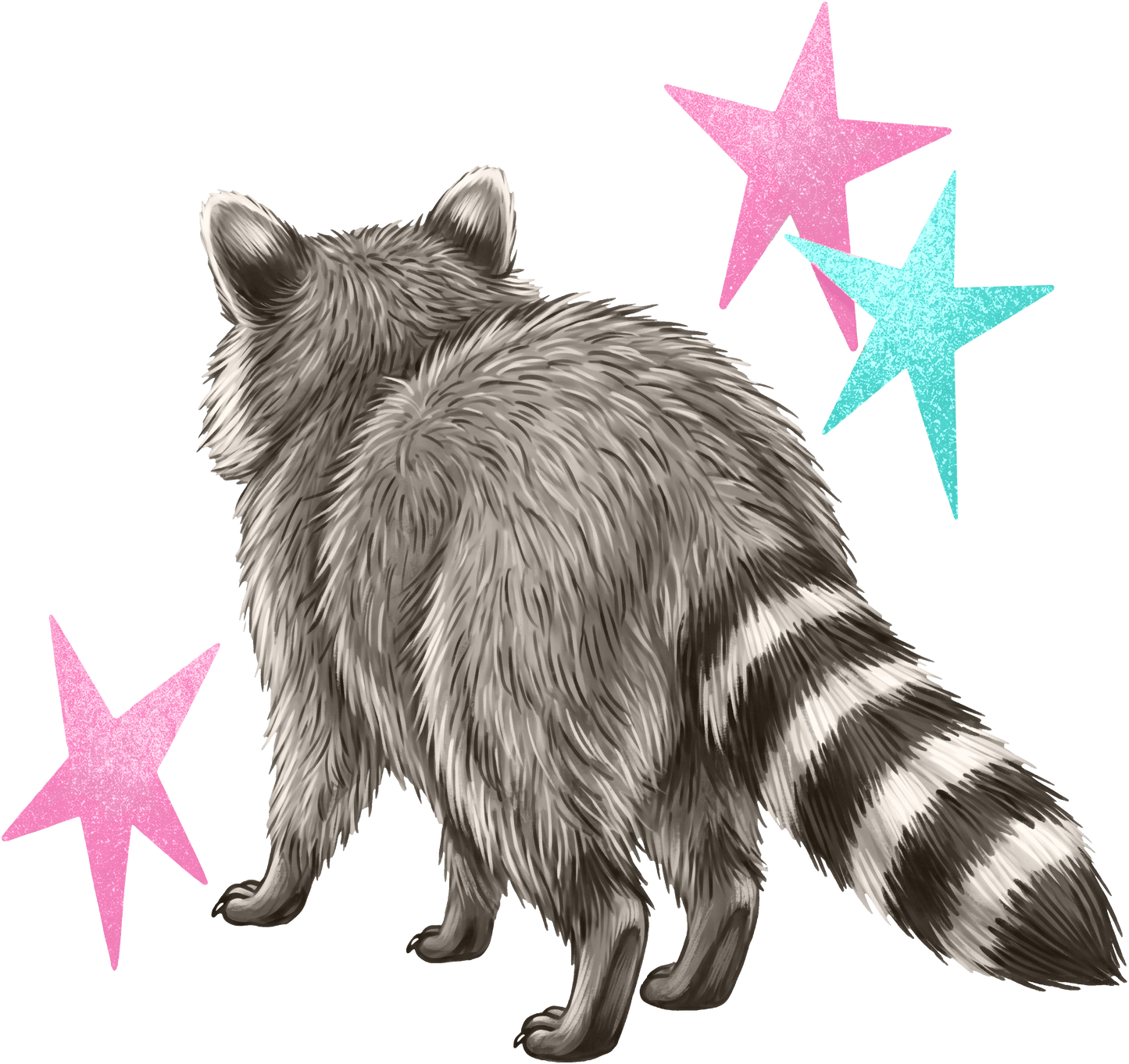 See You Soon Raccoon