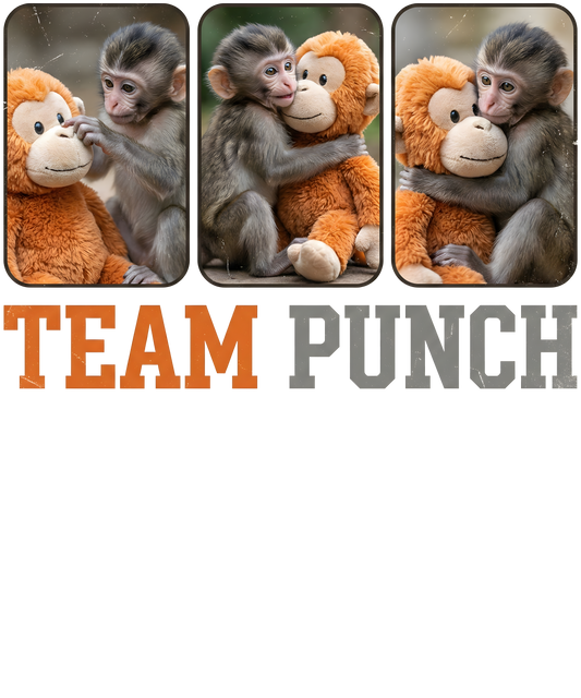 TEAM PUNCH