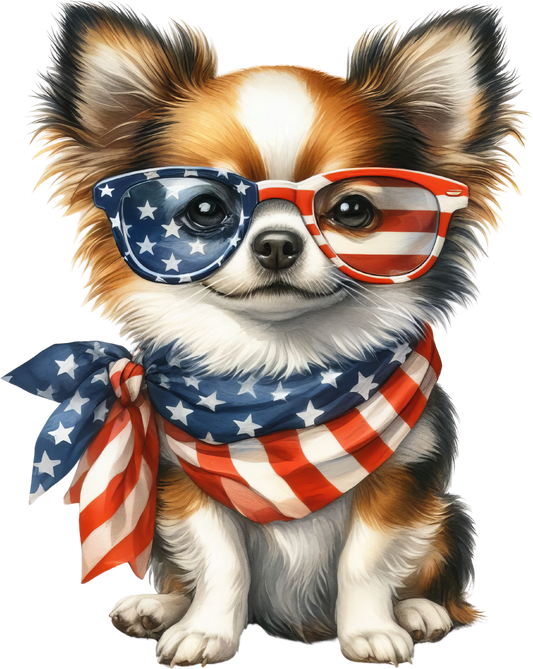 America Chihuahua