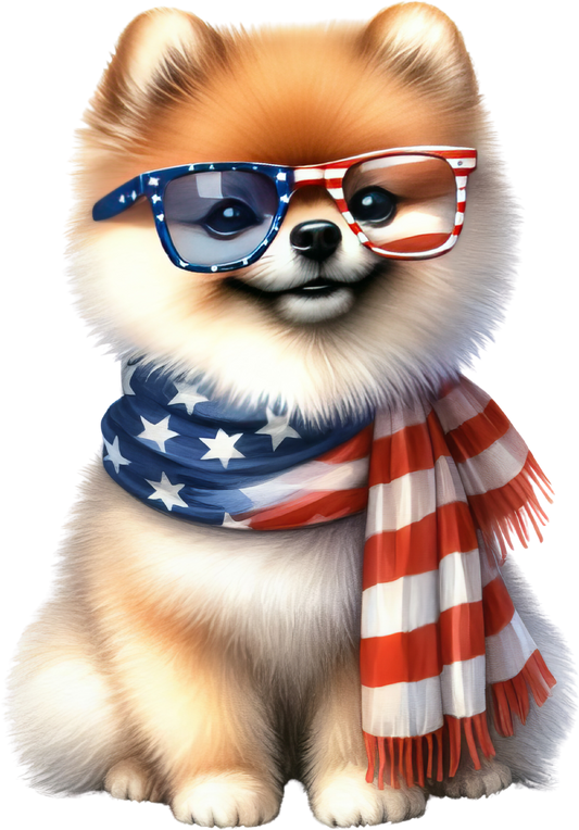 America Shiba Inu