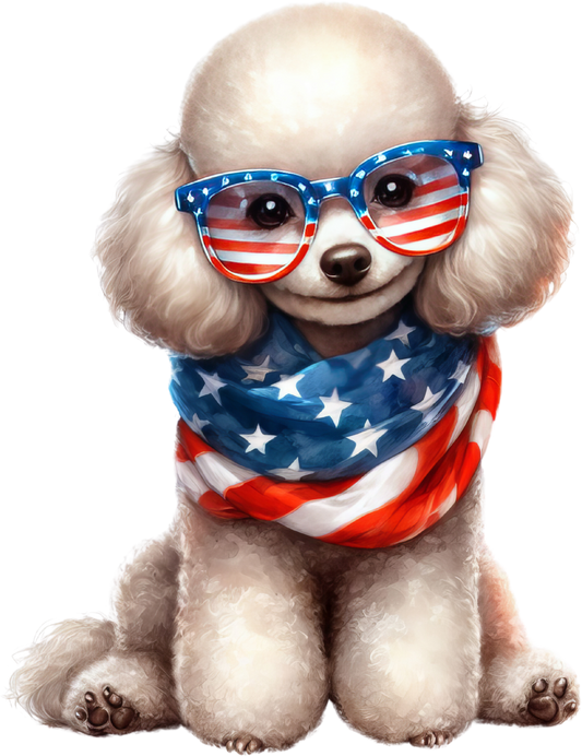 America White Poodle