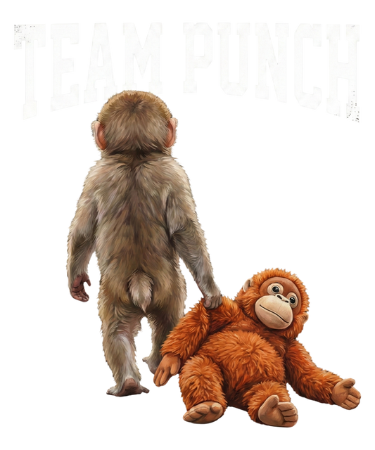 Team PUNCH 2
