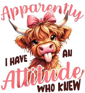 Apparently I Have An Attitude Who Knew