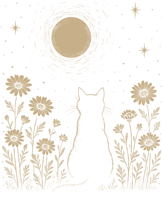 Cat in the Meadow at Night