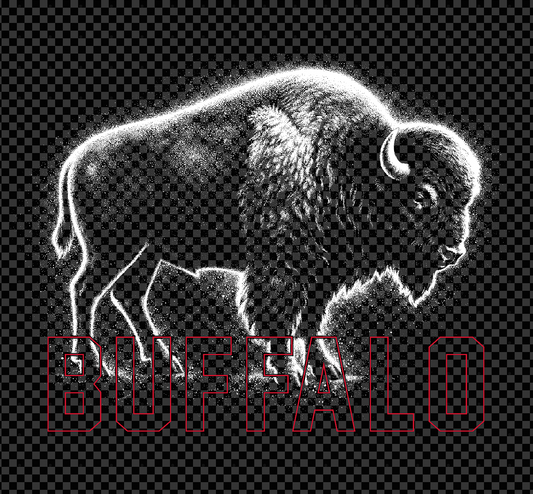 Buffalo Monochrome Football