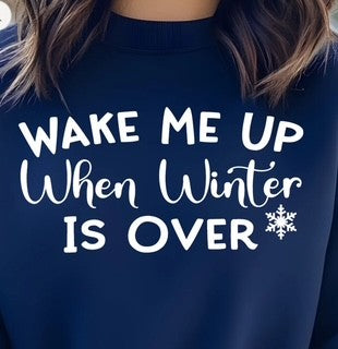Wake Me Up When Winter Is Over