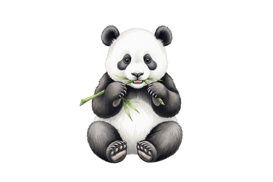 Young Panda Bamboo